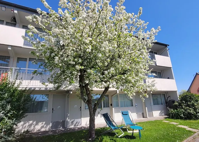 Hôtel accueillant les animaux: Brit Hotel Quimper Sud
